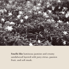 Senteur Jasmine & Santal : parfum lumineux et boisé d'A LA MAISON.