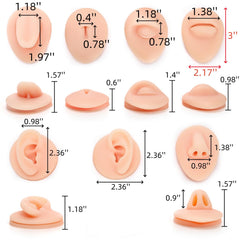 Modèles Acshio anatomie piercing oreille, pratique réaliste pour débutants