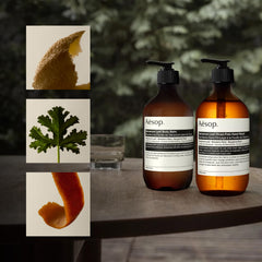 Aesop Geranium Leaf Body Cleanser, mousse légère; nettoie sans dessécher.