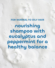 Étiquette du Shampoing Équilibre Seaweed Bath Co, informations claires et ingrédients nourrissants.