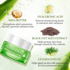 Flacon-visage Aloderma prêt pour usage quotidien hydratant.