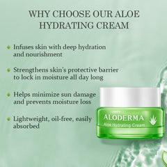 Ingrédients Aloe Vera biologique et Acide Hyaluronique dans la crème.