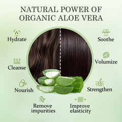 Flacon du shampooing Aloderma Aloe Nourrissant en gros plan sans alcool