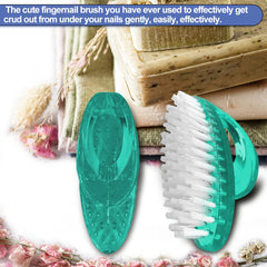 AMERWASH PLUS ensemble de 4 brosses vertes pratiques pour cuisine, jardin et garage.