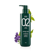 Shampoing AMOS PROFESSIONAL au thé vert Refresh en bouteille pour cuir chevelu gras