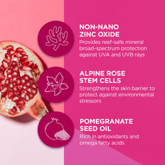 Extrait de rose alpine et cellules souches: soin protecteur pour la barrière cutanée.