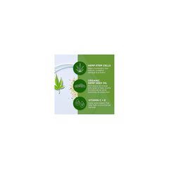 Cannacell Crème Nuit, cellules souches de chanvre pour protection cutanée