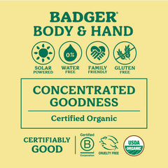 Arôme léger d hiver à la menthe sur le baume Badger Healing Balm