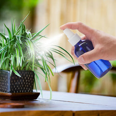 Bastelica étiquettes noires effaçables pour distinguer les contenus