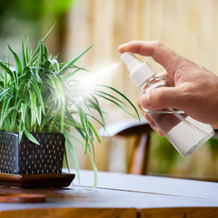 Grands entonnoirs Bastelica pour transvasage propre des liquides