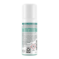 Batiste Shampoing Sec Original, emballage pratique pour sac et voyage