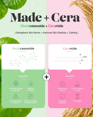 Centre d’attention: Centella asiatica et madecassoside sur l’étiquette