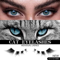 Cils Bershnor en clusters: 256 pièces pour volume modulable