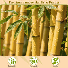 BFWood brosse paddle en bambou anti-statique lisse les cuticules et frisottis