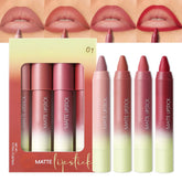 BINGBRUSH Set 4 en 1 crayon lèvres matte pour un look défini et longue tenue.