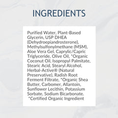Biolabs Pro DHEA Cream — application facile au quotidien.