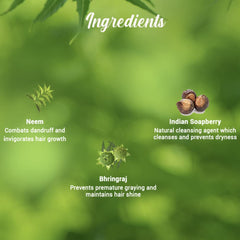 Biotique Neem Margosa: mousse lavante douce qui purifie le cuir chevelu.