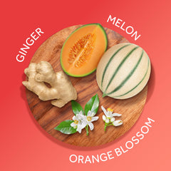 Body Fantasies Calgon Hawaiian Ginger – beurre de karité et aloe nourrissants sur peau