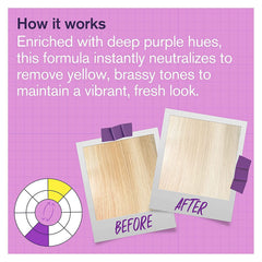 BOLD UNIQ pigments violets intenses pour équilibrer les nuances jaunes