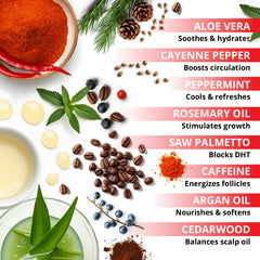 Botanical Green Care Conditionneur, ingrédients-clefs visibles, soin naturel pour cheveux.