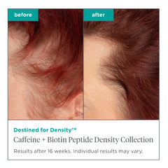 Briogeo Destined For Density – Texture crème, démêlage facile pour cheveux fins