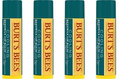 Baume Burt's Bees rafraîchissant à la menthe, hydratation pour lèvres sèches et apaisées