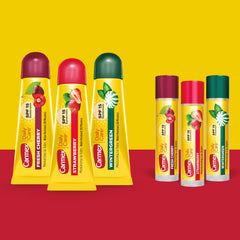 Carmex baume lèvres SPF15 en stick, application rapide et pratique