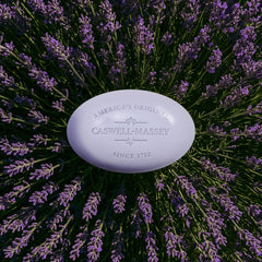 Emballage cadeau Caswell-Massey Lavande, idée cadeau premium.