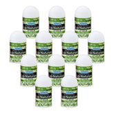 CHAP-ICE Lip Naturals mini baume lèvres arbre-à-thé SPF15 pour hydratation nomade.