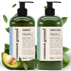 Shampoing volume Common Ground dans une bouteille, hydratant et apportant du corps.