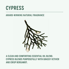 Corpus Cypress ingrédients clés comme baobab et olive pour nourrir sans surcharge.
