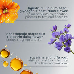 Dermalogica Crème Phyto Nature Oxygénée, massage visage favorise fermeté et hydratation douce.