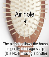 Desert Breeze brosse-anti-statique, réduction des frisottis pour cheveux.