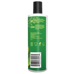 Desert Essence Huile Tea Tree et eucalyptus - infusion rafraîchissante pour cuir chevelu.