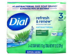 Dial Montagne Fraiche mousse riche dans la main, lavage agréable