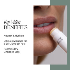 Tube compact Doctor Rogers Lip Balm en gros plan, retouches rapides et hydratantes.