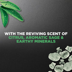 Dove Men+Care Mineral Sage: parfum stimulant menthe-eucalyptus pour démarrer la journée