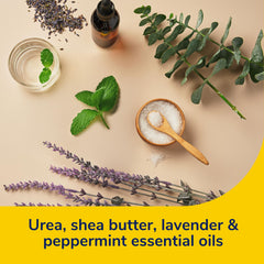 Masque-pieds Dr Scholl's en place, confort et hydratation sur les pieds.