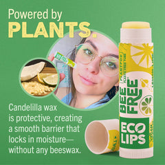 Emballage pod végétal sans plastique Eco Lips, démarche écologique.