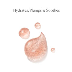 Extrait antioxydant de Rose Centifolia intégré au soin.