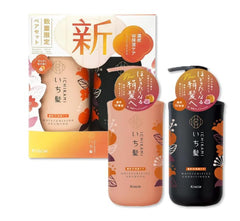 EMBEAUTY Ichikami set packaging shown for daily hair care routine.
