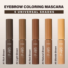 ETUDE Color My Brows - texture gel douce, sans paquets et fini soyeux