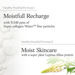 ETUDE Lupinus Albus protéine ingrédient végétal hydratation visage