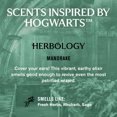 Every Man Jack Herbologie Mandragore bouteille – parfum herbacé et hydratation légère.