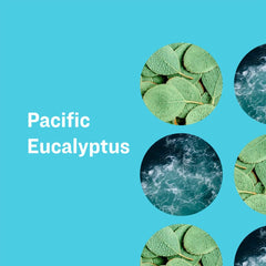 Savon pacifique eucalyptus: lavage quotidien doux et efficace
