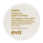 EVO Cassius argile coiffage texture brute pour une apparence texturée naturelle