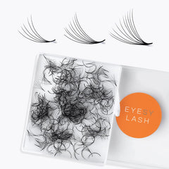 Eyesy Lash 500 Promade Fans in case show compact storage for busy studios
