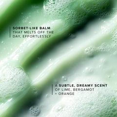 Extrait de papaye purifiant, purification en douceur sans agresser la peau