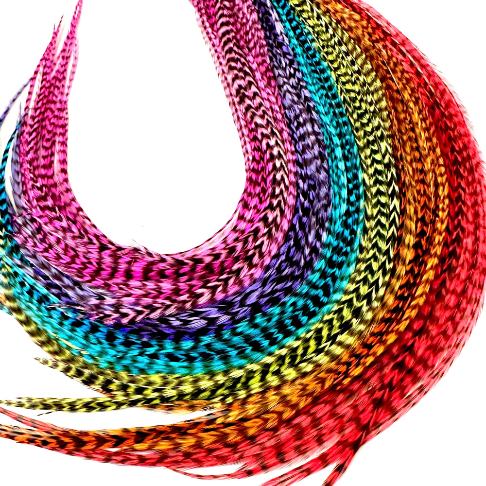 Feather Headz extensions arc-en-ciel Grizzly, longueur 9–14 po, couleur vive pour un look boho.