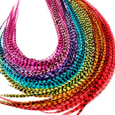 Feather Headz extensions arc-en-ciel Grizzly, longueur 9–14 po, couleur vive pour un look boho.